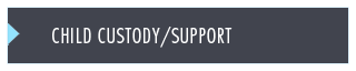 Child Custody/support