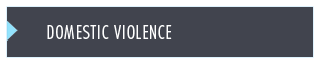 Domestic Violence